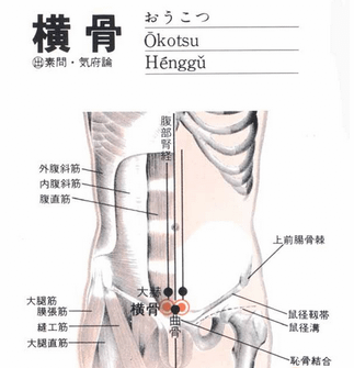 横骨穴.png