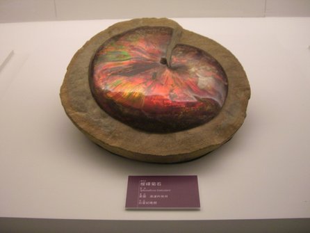 CIMG0018.JPG