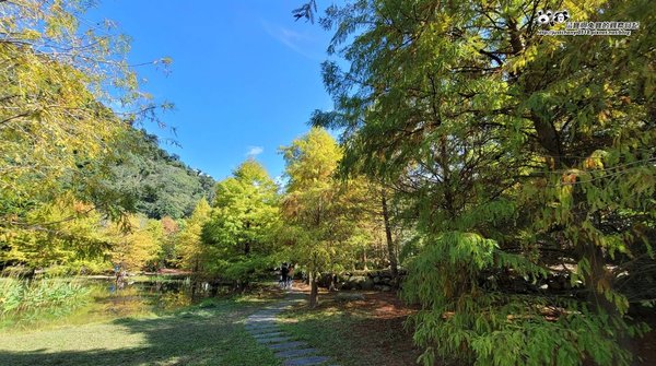 鼠寶與兔寶的觀察日記,小諭兒,小勳勳,勳仔