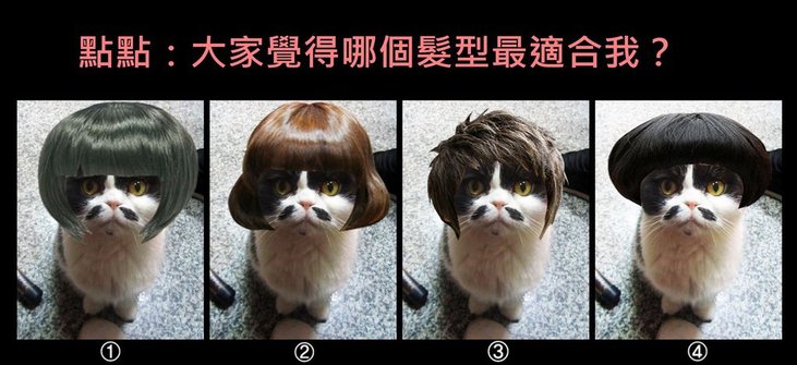 hair style