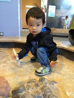 Children&apos;s Discovery Museum (5).jpg