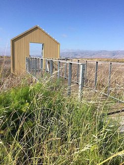 Alviso Marina County Park (2).jpg