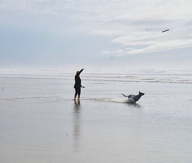 奧瑞岡州西北角海岸著名的Cannon Beach OR