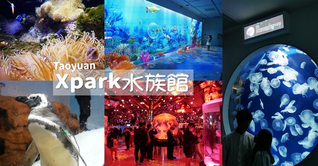 2021桃園新景點Xpark水族館都會水族室內景點打卡熱門