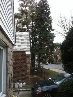 IMG_2383