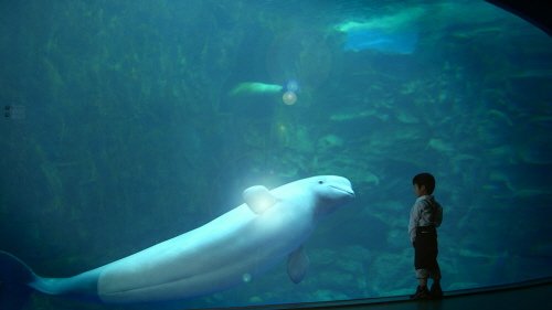 2037242_image2_1.jpg