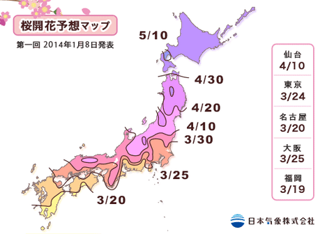 櫻花預報