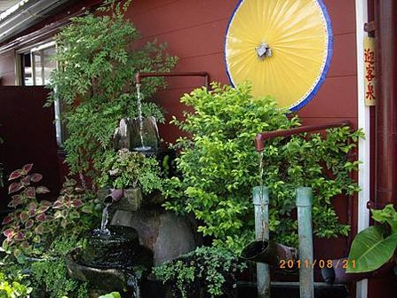 IMGP3519.JPG