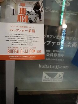 [九州宮崎] BUFFALO-JJ 巴西柔術學院