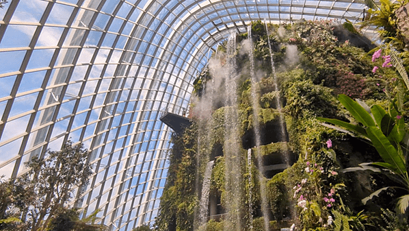 新加坡六天五夜！超熱的七月跑一堆景點！星耀樟宜｜野生動物園｜