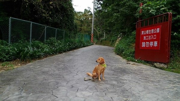 狗狗出遊〉新竹寶山．寶山鄉生態公園