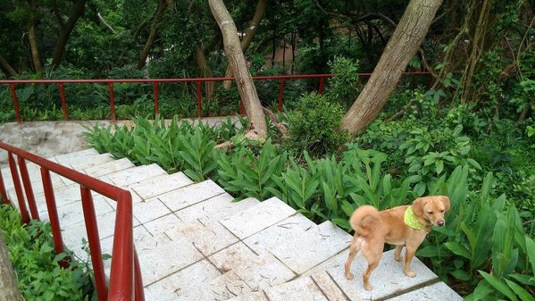 狗狗出遊〉新竹寶山．寶山鄉生態公園