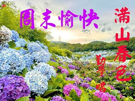 1高家繡球花-67e242ec19c89.jpg