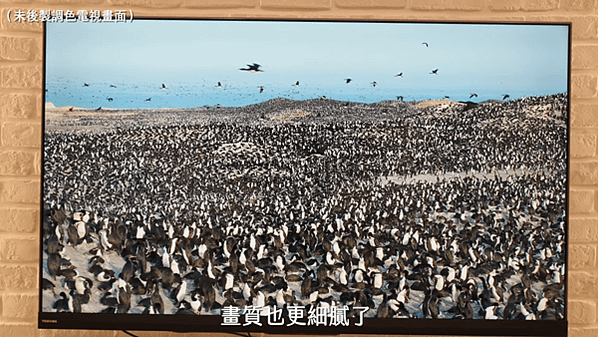 截圖 2021-03-03 下午3.25.47