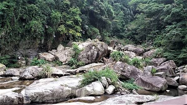 《旅遊》苗栗南庄一日遊｜一起窺探超夢幻的浪漫繡球花、品嘗桂花