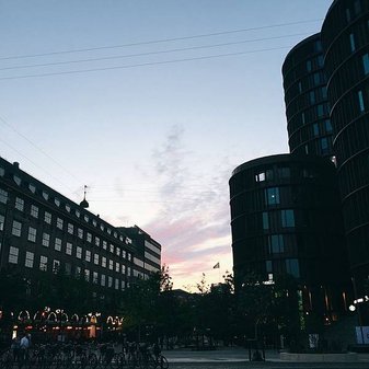 IMG_3704.JPG