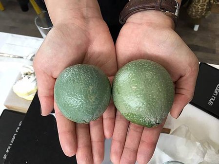 植村秀粉底_6509.jpg
