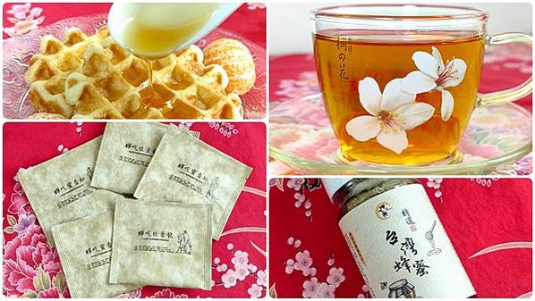[體驗]著涎饋茶香，夏日輕鬆享用蟬吃茶