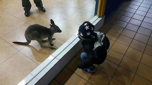初訪廣州長隆野生動物園~來給動物看囉!
