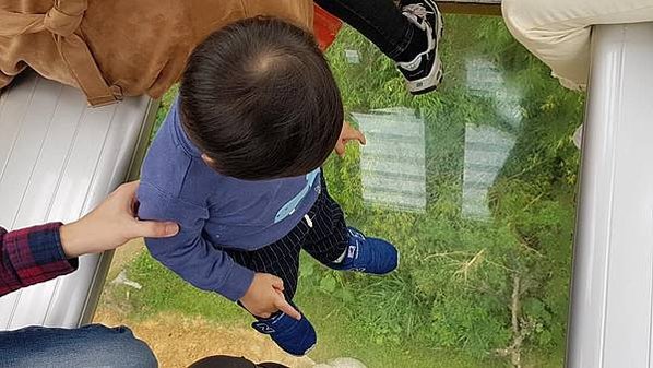 初訪廣州長隆野生動物園~來給動物看囉!