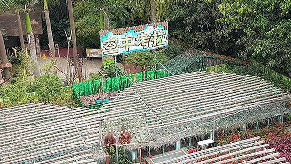 初訪廣州長隆野生動物園~來給動物看囉!