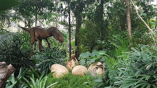 初訪廣州長隆野生動物園~來給動物看囉!