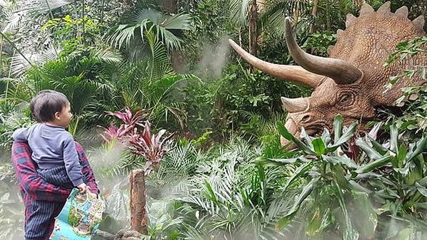 初訪廣州長隆野生動物園~來給動物看囉!