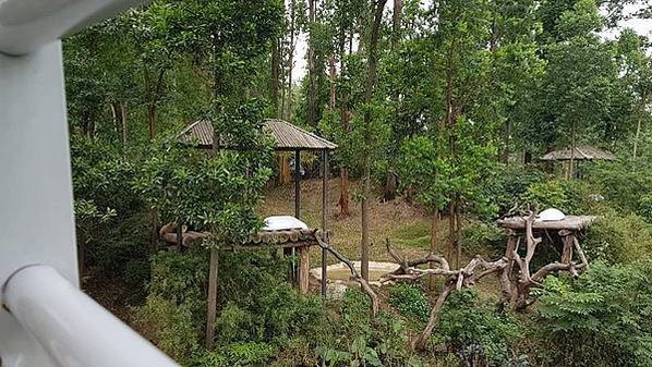 初訪廣州長隆野生動物園~來給動物看囉!