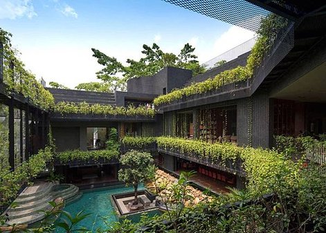 botanic garden 2 -toefl.jpg