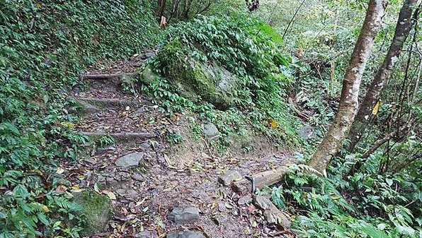 【雲森瀑布】三峽熊空仙境~雲森瀑布，登山、步道、戲水、觀瀑、