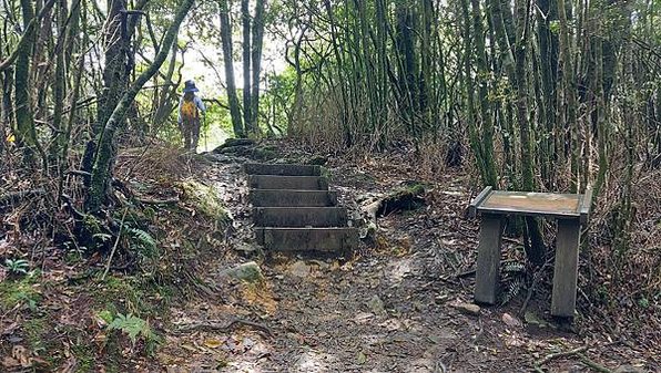 【八仙山】松鶴登山口，谷關七雄老大八仙山松鶴登山口起登，