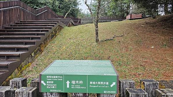 【麟趾山】【鹿林山】親民輕鬆步道卻擁有百岳級美景，眺望玉山群