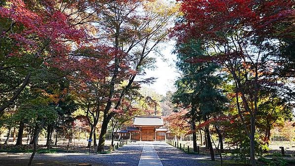[2023 關東賞楓] 埼玉平林寺/神田明神/銀座仏蘭西屋