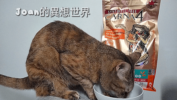 #卡娜芙評價 #卡娜芙貓飼料評價 #加拿大飼料品牌推薦 #加拿大寵物糧推薦 #發芽種子飼料 #高適口性無穀貓飼料推薦 #寵物無穀飼料推薦 #無穀低敏飼料開箱 #挑嘴貓飼料推薦 #貓泌尿保健飼料推薦 #貓飼料推薦 #寵物乾糧推薦 #貓吃鱸魚 #狗吃鱸魚 #鱸魚營養 #Carna4卡娜芙 #寵物吃鱸魚 #狗飼料推薦