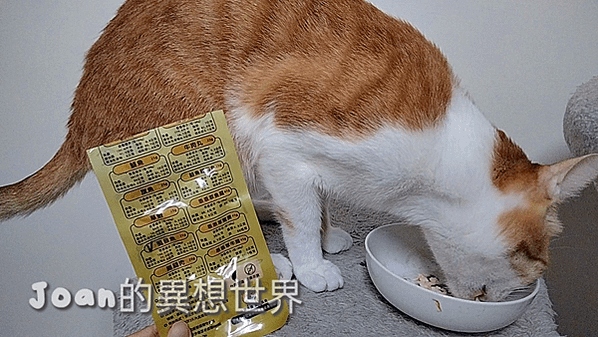 #牛肉威 #泥濃我儂鮮食餐包 #威是膳食 #寵物鮮食包推薦 #牛肉威評價 #牛肉威泥濃我儂鮮食餐包評價 #威是膳食適口性分享 #寵物鮮食包開箱 #方便攜帶寵物即食包 #寵物鮮食即食包推薦 #無防腐劑寵物鮮食品牌 #適口性好鮮食推薦 #威是膳食毛孩食用心得 #寵物生食推薦 #營養配方寵物鮮食包 #虱目魚營養 #貓吃鴨肉 #鮭魚營養 #鹿肉營養 #寵物鮮食