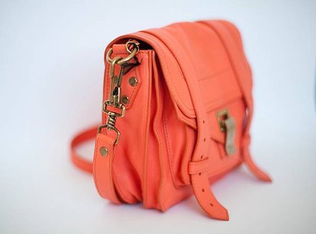 Proenza Schouler PS1 Pouch5