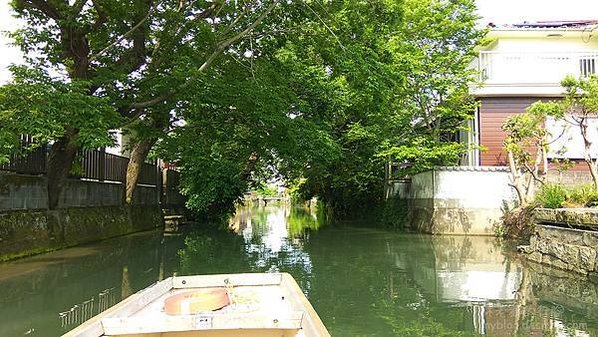 15_IMG_20160522_092247_333