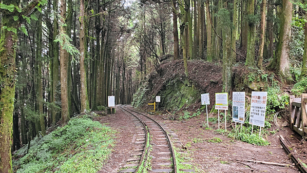嘉義之阿里山森林遊樂區