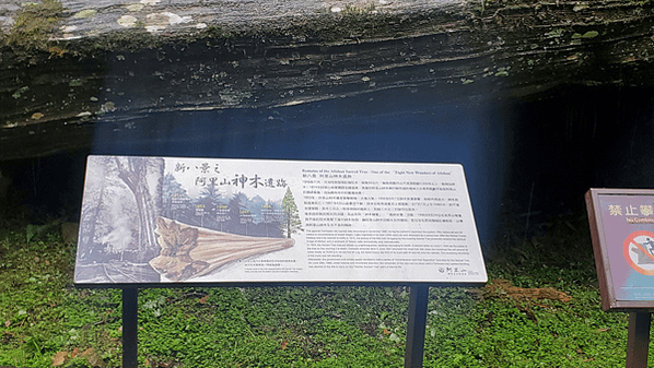 嘉義之阿里山森林遊樂區