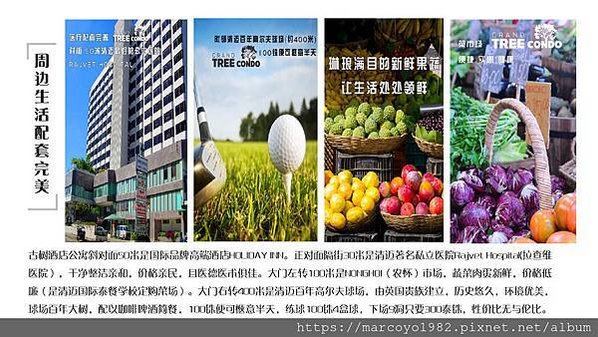 TREE CONDO 樓書_p011