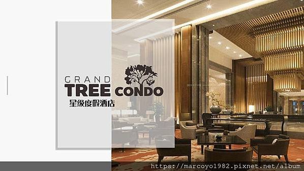 TREE CONDO 樓書_p017