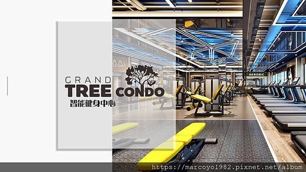TREE CONDO 樓書_p019