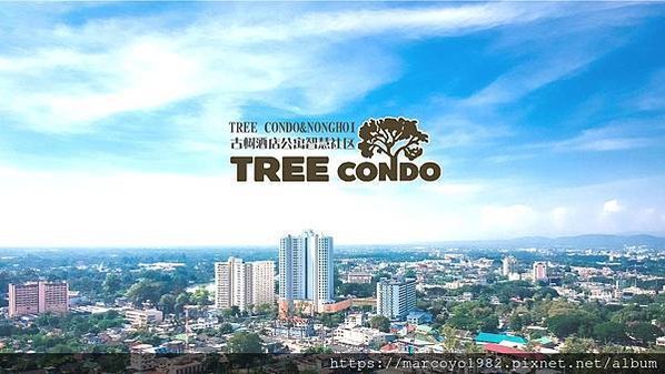 TREE CONDO 樓書_p052
