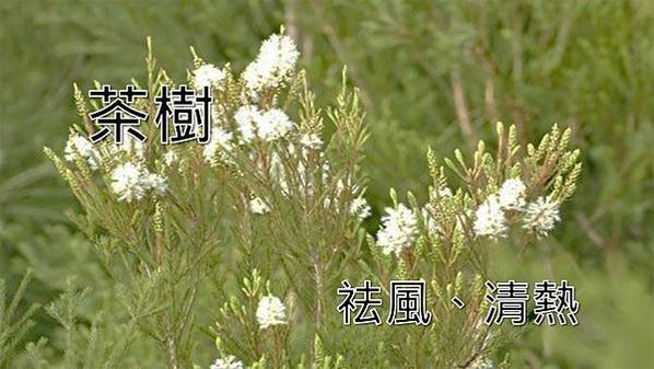  血虛體質、氣虛體質、痰濕體質、濕熱體質、精油比例、精油功效、中醫精油、精油推薦、精油按摩、中醫芳療、中醫芳療百科、悠樂芳精油、高品質精油、精油密碼、精油調配、陽虛體質、精油效果、精油配方、怎麼用精油、使用精油、中醫8大偏性體質