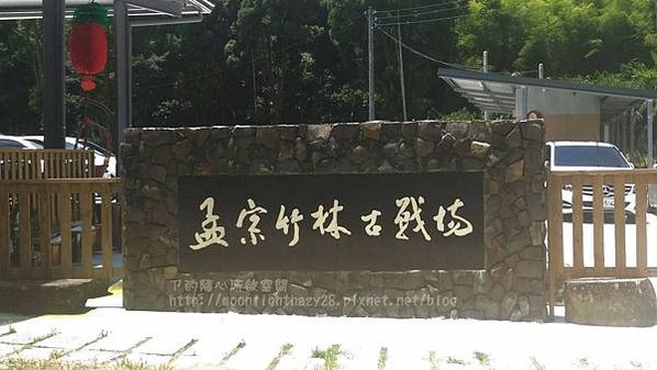 【旅遊|南投】南投三天兩夜之綠意盎然篇