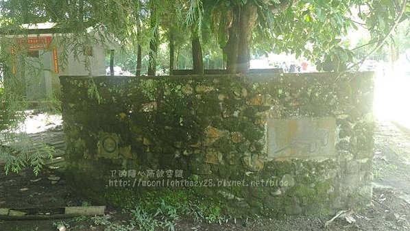 【旅遊|南投】南投三天兩夜之綠意盎然篇