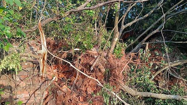 湖口鄉「波羅汶八卦窯」被怪手大肆破壞-文化局緊急列暫定古蹟-