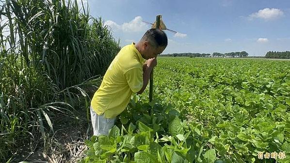 中秋節是傳說中土地公的生日，各地農民為了祈求土地及作物獲得庇