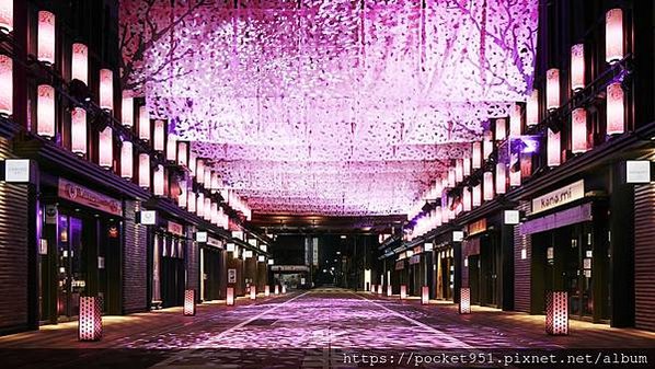 nihonbashi-sakura-fes20_05