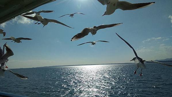 IMG_20200213_143201